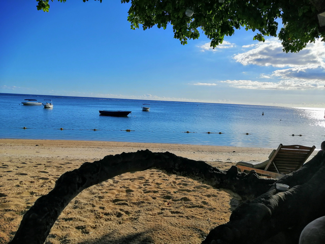 Mauritius beach picture